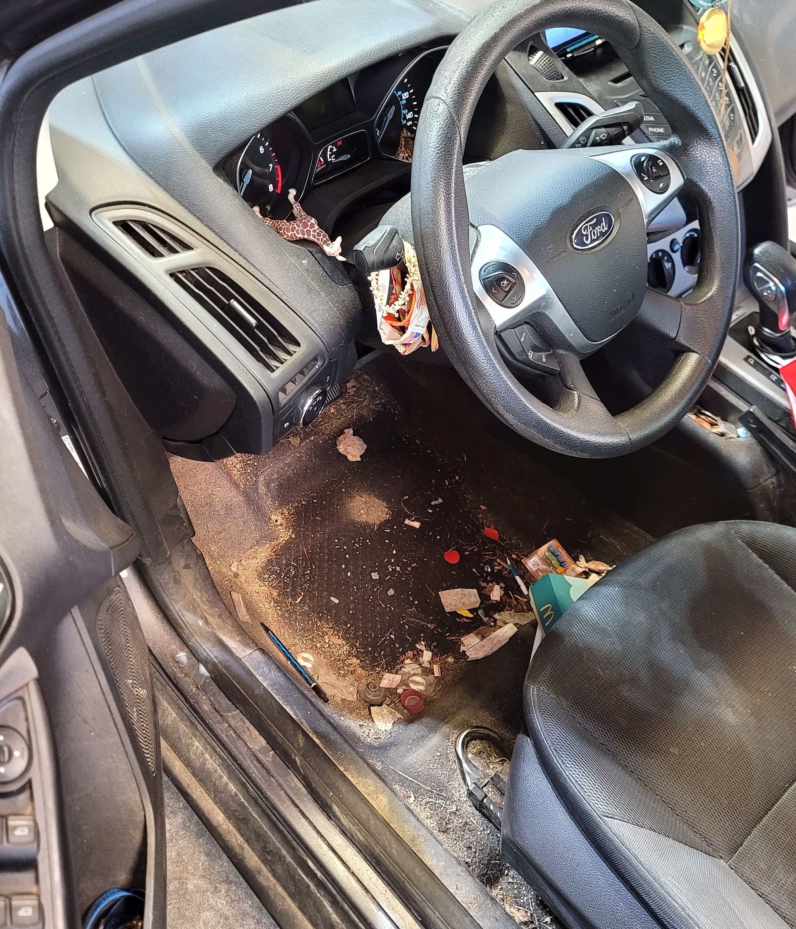 Soiled rear passenger area before restoration