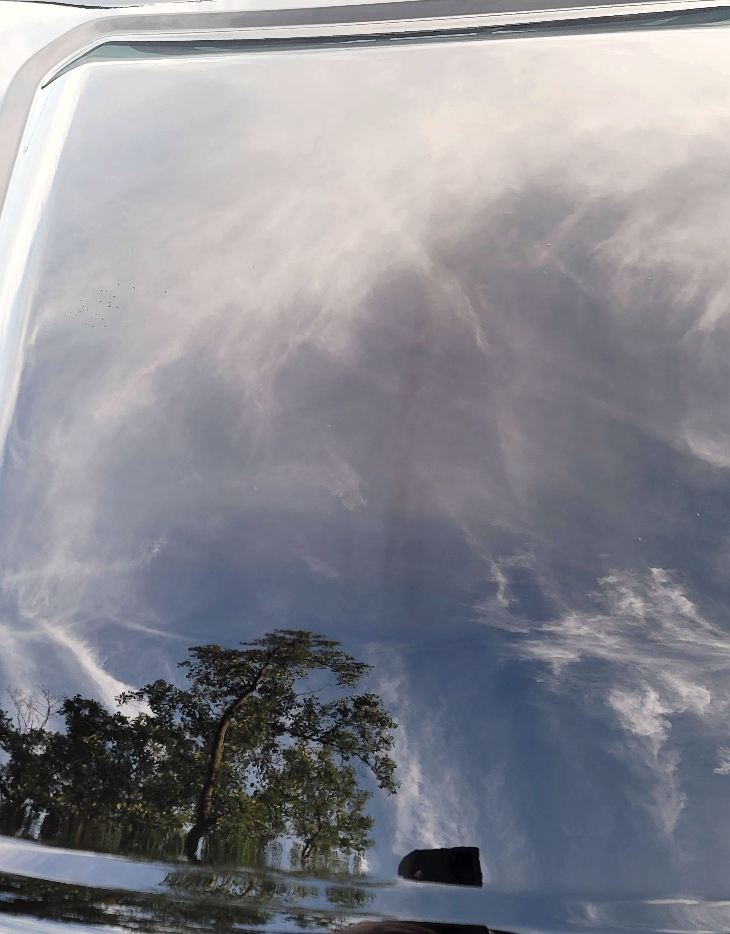 Paint surface showing exceptional clarity